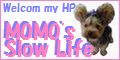 MOMO's Slow Life banner